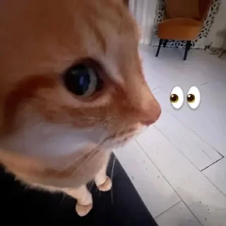 👀