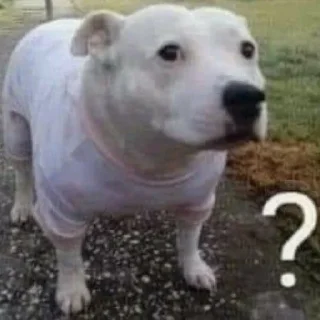 ❔