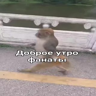 😎