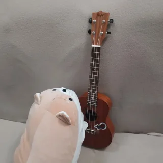 🎸