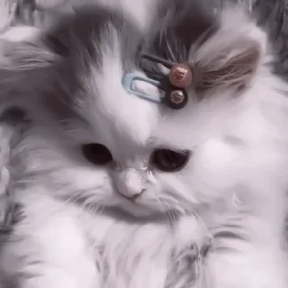 😊