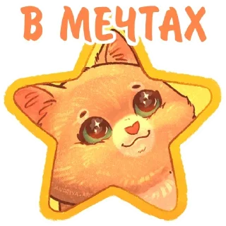 ⭐