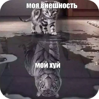 🖼