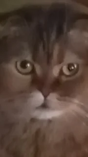 😡