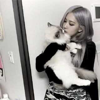 🌟