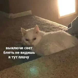 💡
