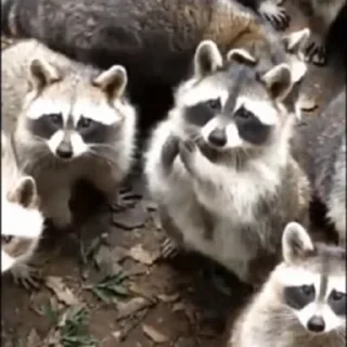 🙏