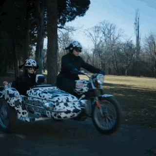 🐶