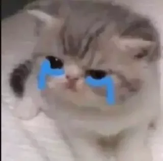 😭