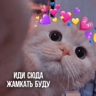 🥰