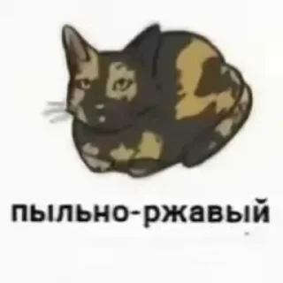 😂