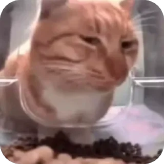 😑