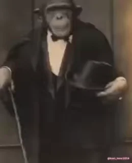 🐵