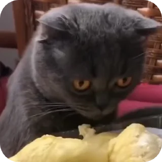 😵