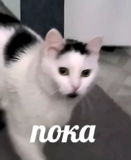 👋