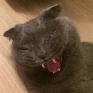 😙