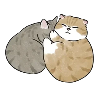 😴