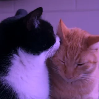 💜