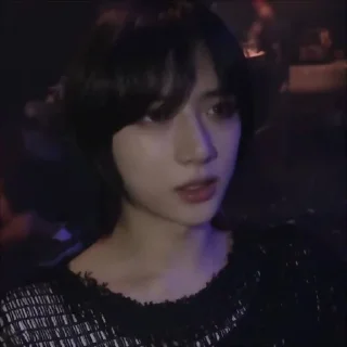 🐻