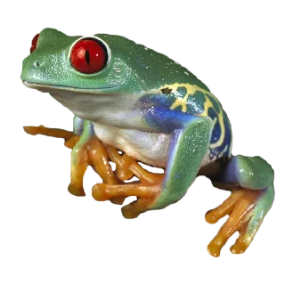 🐸