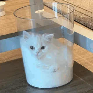 🥛