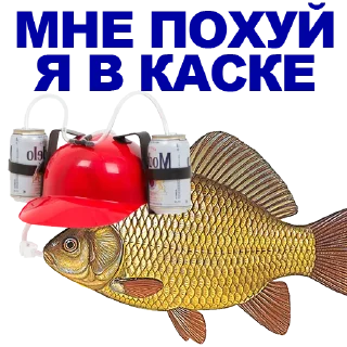 🐠