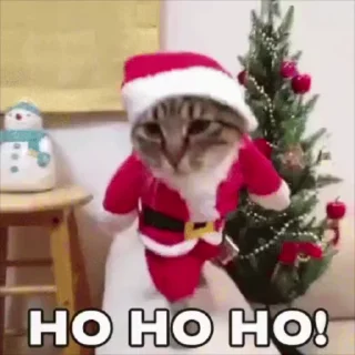 🎅