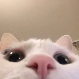 🥰