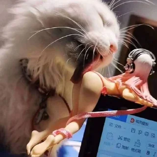 😋