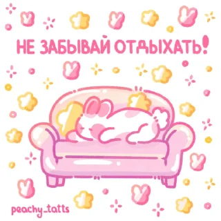 🐈