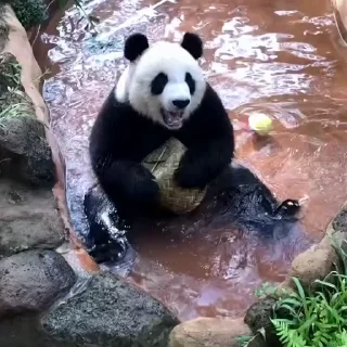 😀