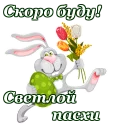 🌷