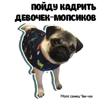 😎