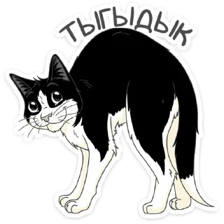 🐈