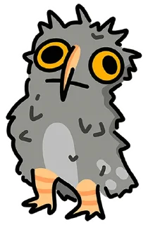 🦉