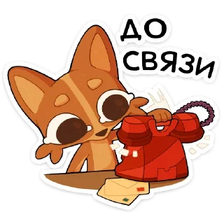 🌟