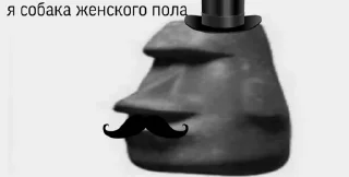 🗿