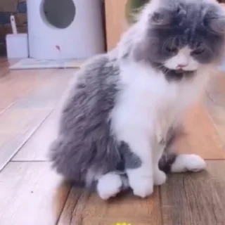 👽