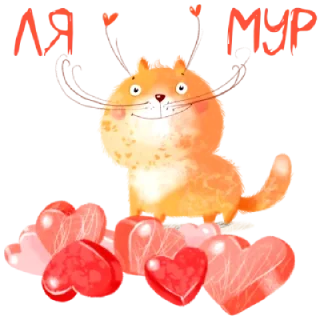 🐱