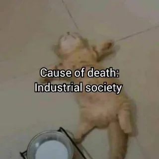 💀