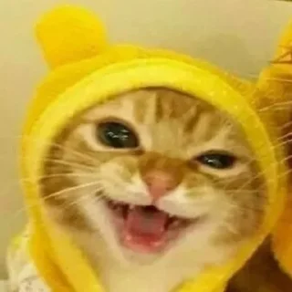 😜