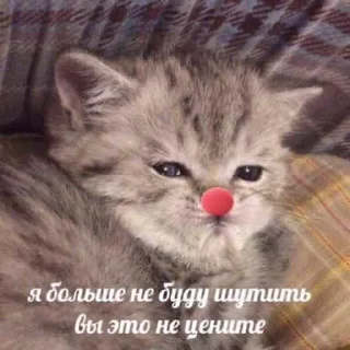 🤡
