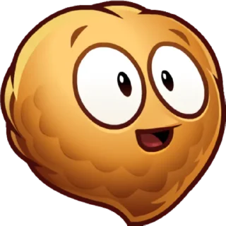 🌰