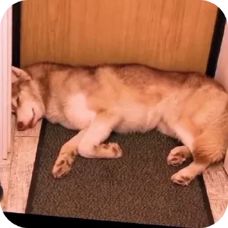 👍