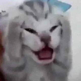 😡