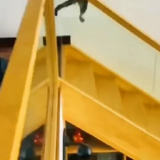 🐈