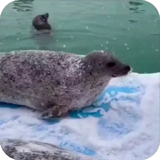 😁