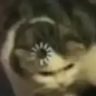 ❔