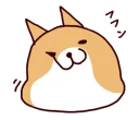 🐶