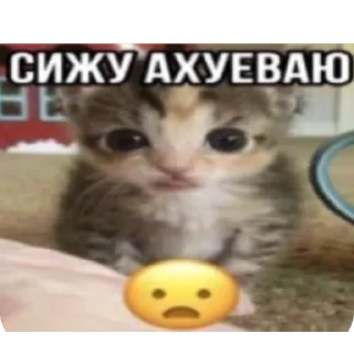 🫥